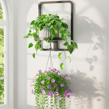 LASZOLA Plant Picture Frame Holder Shelf Wall Window Indoor by LASZOLA