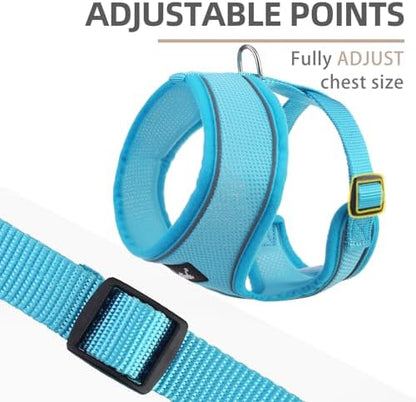 PUPTECK Small Dog Harness and Leash Set No Pull - Image 3