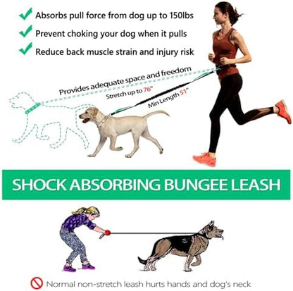 LANNEY Hands Free Dog Leash, Waist Running Leash - Image 3