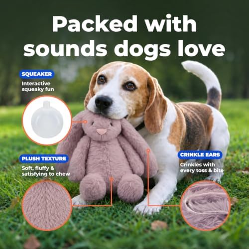 Best Pet Supplies Bunny Buddy Squeaky Plush Dog Toy - Image 5