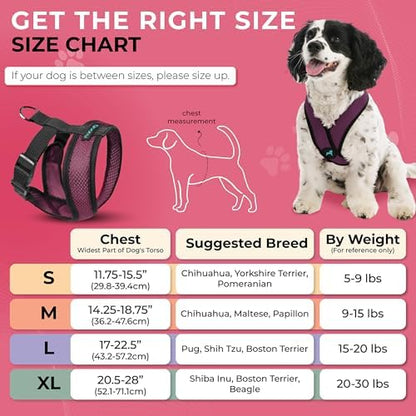 Gooby Comfort X Head-in Dog Harness, Choke-Free - Image 5
