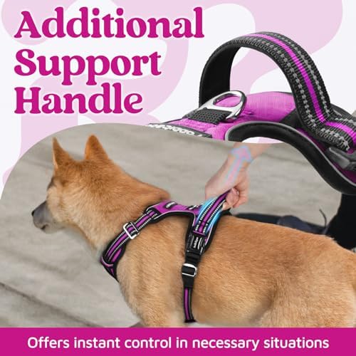 rabbitgoo Dog Harness Small Sized, No Pull 3 Buckles Easy On & Off - Image 4