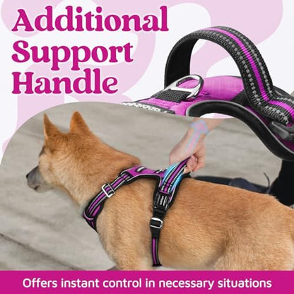 rabbitgoo Dog Harness Small Sized, No Pull 3 Buckles Easy On & Off - Image 4