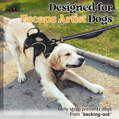 rabbitgoo Escape Proof Dog Harness - Image 3