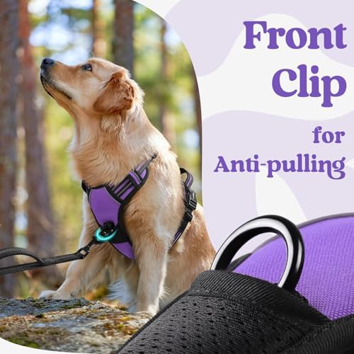 rabbitgoo Dog Harness for Large, Updated Easy On & Off - Image 6