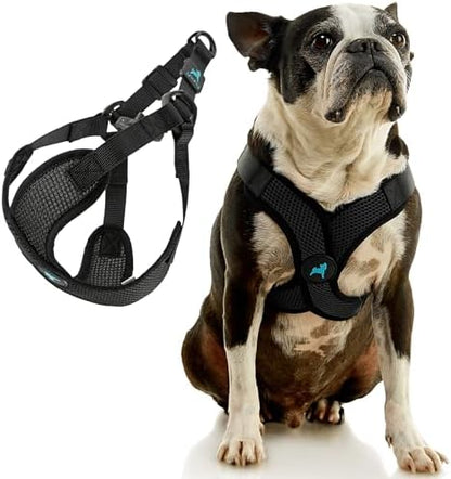 Gooby Comfort X Step-in Lite Harness, Choke-Free - Image 3