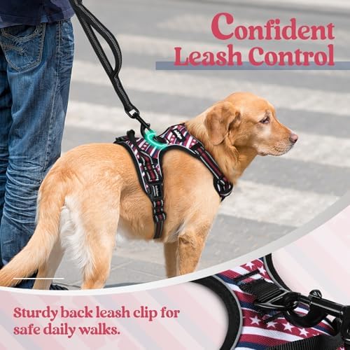 rabbitgoo Dog Harness, No Pull for Small Dogs - Image 6