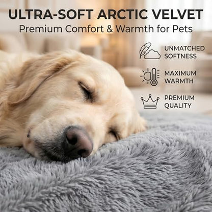 Orthopedic Medium Dog Bed 30 x 20Inch, Egg-Crate Memory Foam Pet Bed - Image 6
