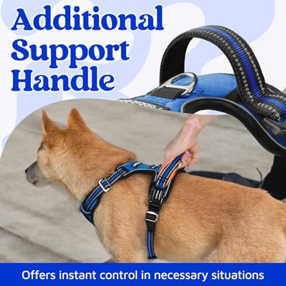 rabbitgoo Dog Harness Small Sized, No Pull 3 Buckles Easy On & Off - Image 4