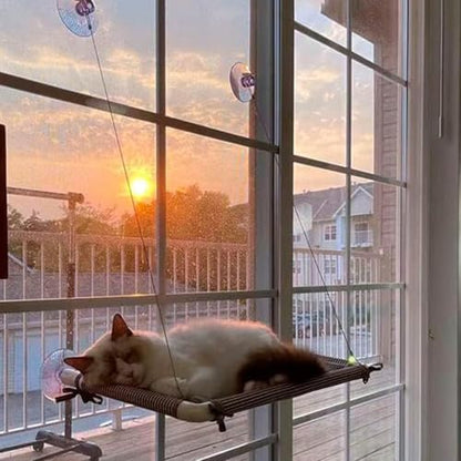Cat Window Perch Suction Cup - Image 6