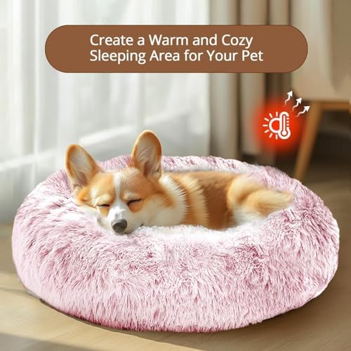 JOLLYVOGUE Calming Dog Bed for Small Dogs - Image 4