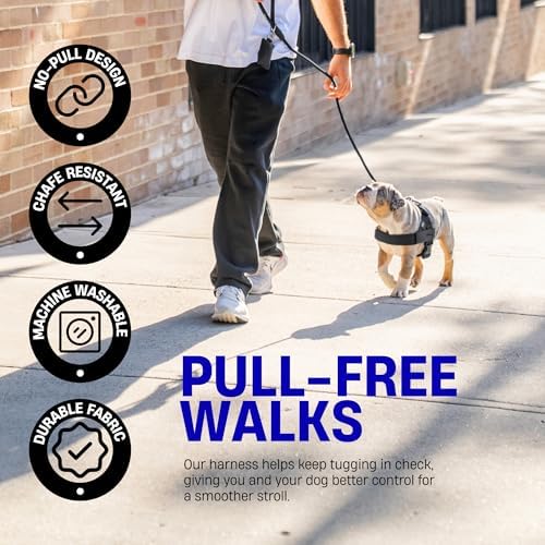 Dog Friendly Co. Dog Harness for Medium Sized Dogs - Image 7