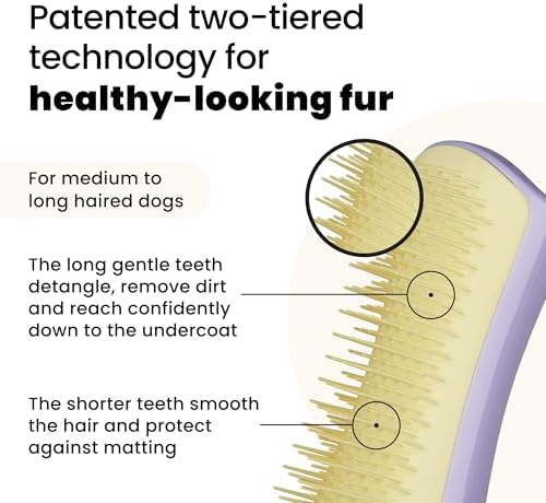 Pet Teezer Detangling Dog Brush - Image 2