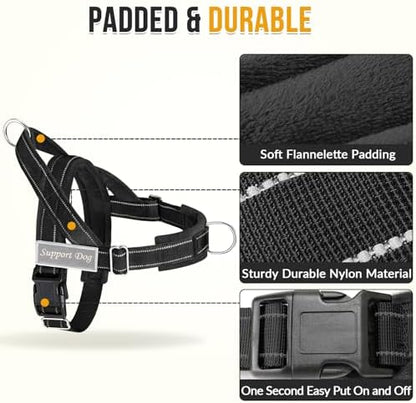 SlowTon No Pull Dog Harness and Leash Set - Image 3