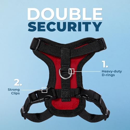 Voyager Step-in Lock Cat Harness & Leash Set - Image 2