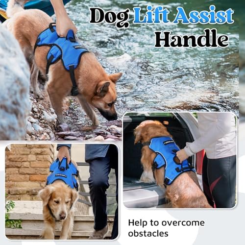 rabbitgoo Escape Proof Dog Harness - Image 3