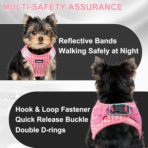AIITLE Step in Small Dog Harness and Leash Set, Pet Vest, Watermelon XXS - Image 4
