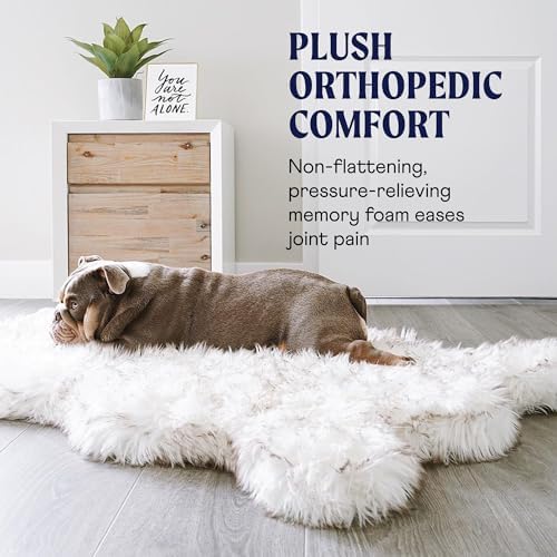PAW Brands PupRug Orthopedic Memory Foam Dog Bed - Image 4