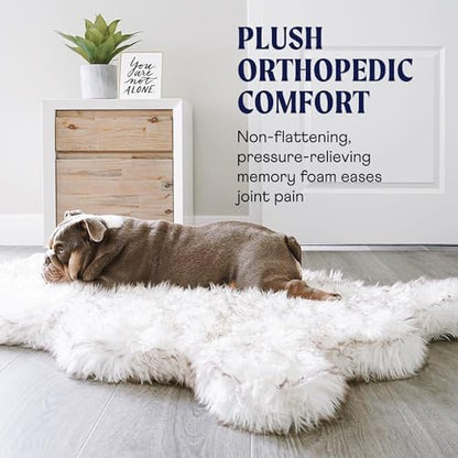 PAW Brands PupRug Orthopedic Memory Foam Dog Bed - Image 4