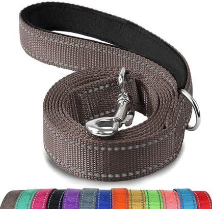 Joytale Reflective Dog Leash for Small Dogs, 5 FT x 3/4" by Joytale