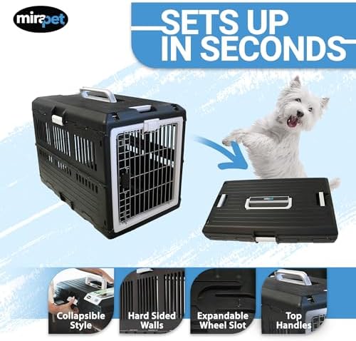 Collapsible Pet Carrier for Large Dogs & Cats - Image 2