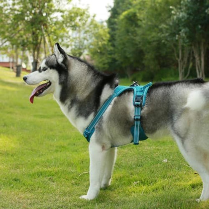 Voyager Dog Harness Dual Leash Attachment No-Pull Control Adjustable Soft but - Image 6