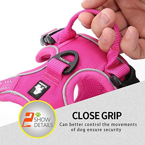 JUXZH Truelove No Pull Dog Harness - Image 6
