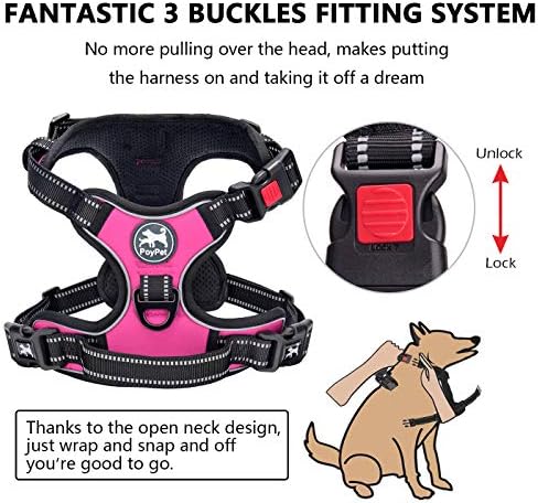 PoyPet No Pull Dog Harness Small - Image 2