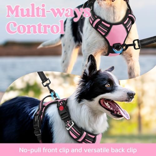 rabbitgoo Dog Harness for Large, No Pull 3 Buckles Easy On & Off - Image 3