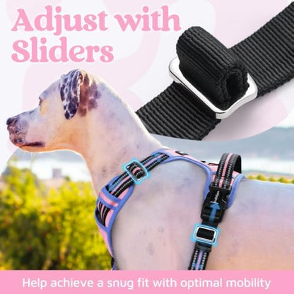 rabbitgoo Dog Harness Small Sized, No Pull 3 Buckles Easy On & Off - Image 5