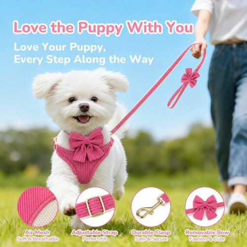 Small Dog Collar Harness and Leash Set - Image 7