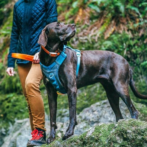 Kurgo Journey Air Dog Harness - Image 2