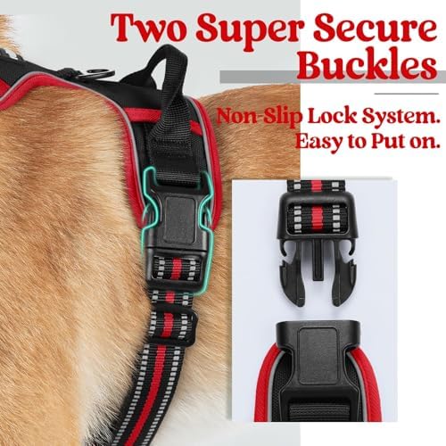 rabbitgoo Dog Harness, No Pull for Large Dogs - Image 4