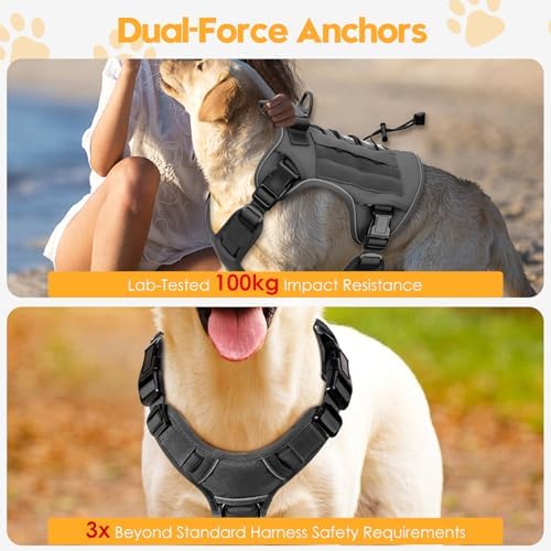 Heavy-Duty Tactical Dog Harness - Image 4