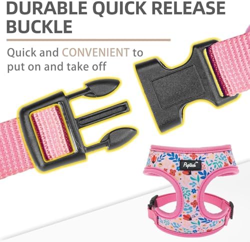 PUPTECK Small Dog Harness and Leash Set No Pull - Image 4