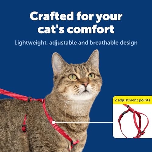 PetSafe Come With Me Kitty Harness and Bungee Leash, Harness - Image 4