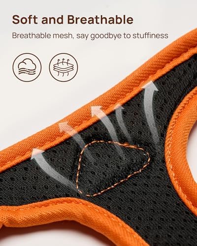PetThem Upgraded Cat Harness and Leash Set - Image 7