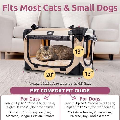 Cat & Dog Carrier, Fits Most Cats or Small Dog Comfortably - Image 3