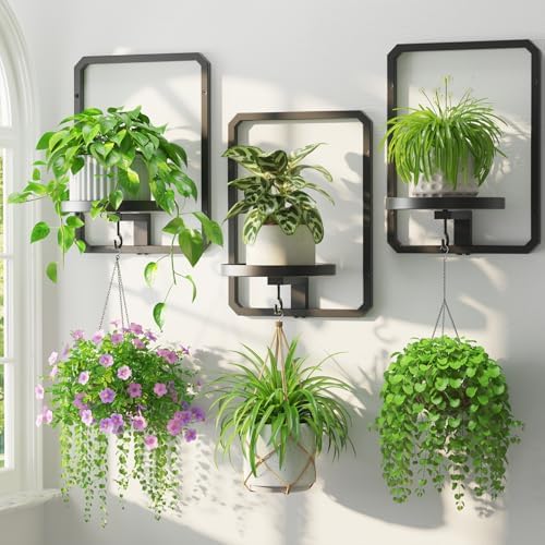 LASZOLA Plant Picture Frame Holder Shelf Wall Window Indoor by LASZOLA