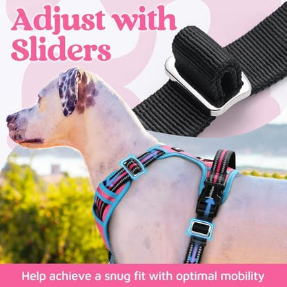 rabbitgoo Dog Harness for Large, No Pull 3 Buckles Easy On & Off - Image 5