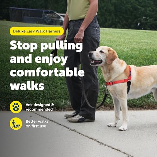 PetSafe Deluxe Easy Walk Harness, Medium/Large, Rose Red - Image 3