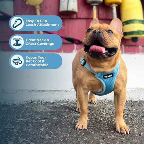 Best Pet Supplies Voyager Adjustable Step-in Flex Breathable Mesh Dog Harness - Image 5