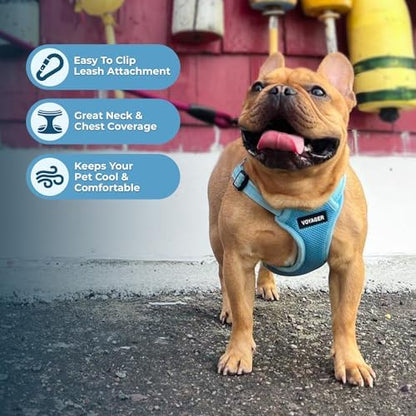 Best Pet Supplies Voyager Adjustable Step-in Flex Breathable Mesh Dog Harness - Image 5
