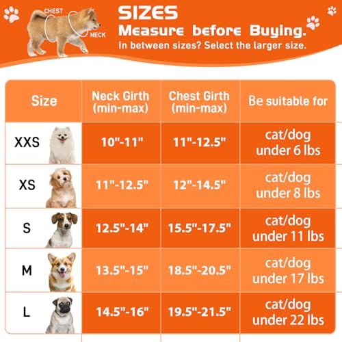 Soft Mesh Dog Harness and Leash Set, No Pull Puppy Harness and Leash Set - Image 4