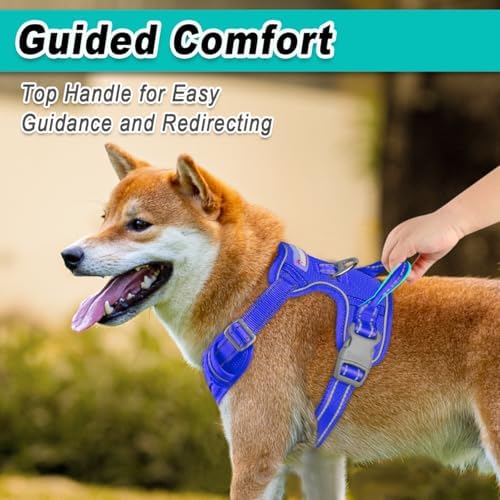 BARKBAY Dog Harness for Large Dog No Pull Mesh 2 Clips Dog Vest - Image 4