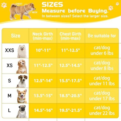 Soft Mesh Dog Harness and Leash Set, No Pull Puppy Harness and Leash Set - Image 4