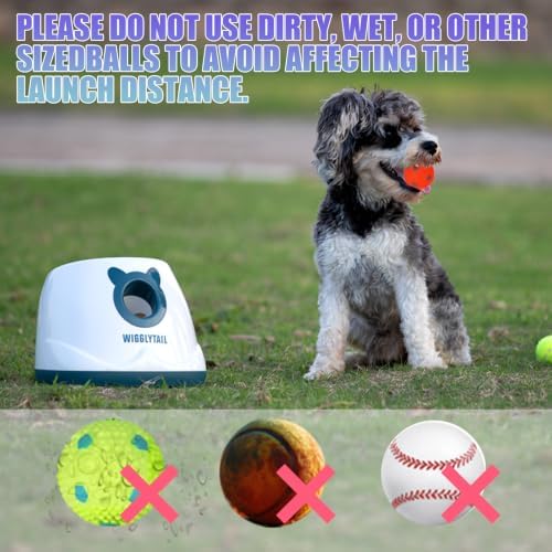 Automatic Dog Ball Launche - Image 6