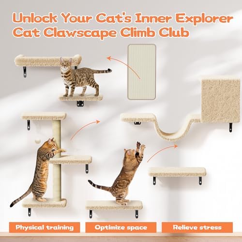 6-in-1 Wall Mounted Cat Climber Set - Image 3