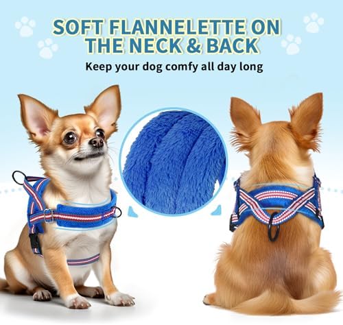 SlowTon No Pull Small Dog Harness and Leash Set - Image 2