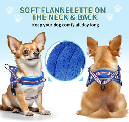 SlowTon No Pull Small Dog Harness and Leash Set - Image 2
